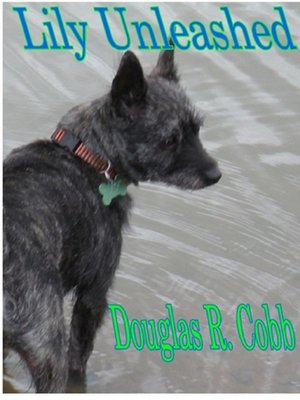 cover image of Lily, Unleashed
